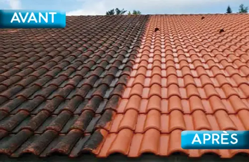 Nettoyage & démoussage Toiture Loir-et-Cher